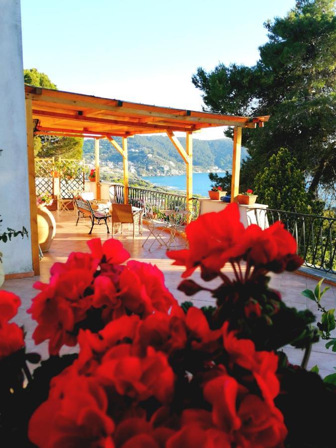 Il Sogno Di Vincenzo E Maria Bed & Breakfast Palinuro Exterior photo