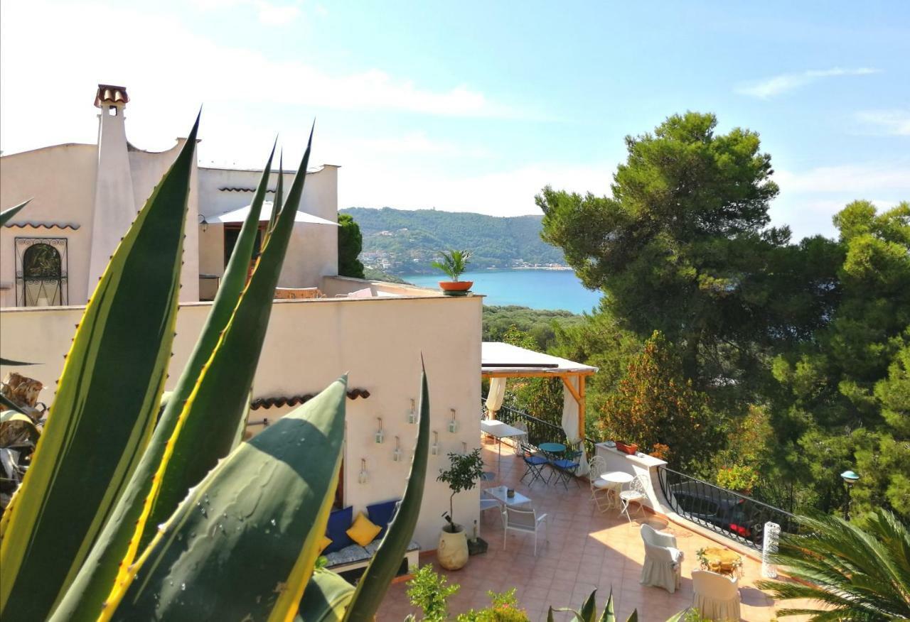 Il Sogno Di Vincenzo E Maria Bed & Breakfast Palinuro Exterior photo